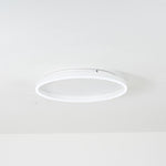 Olen Flush Mount Ceiling Light - Lamp Outdoor
