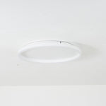 Olen Flush Mount Ceiling Light - Lamp Outdoor