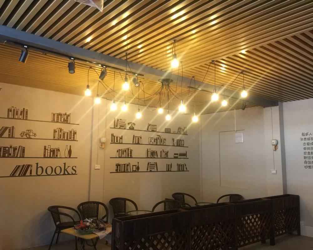 Spider Ceiling Chandelier - Lamp Outdoor