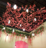 Spider Ceiling Chandelier - Lamp Outdoor