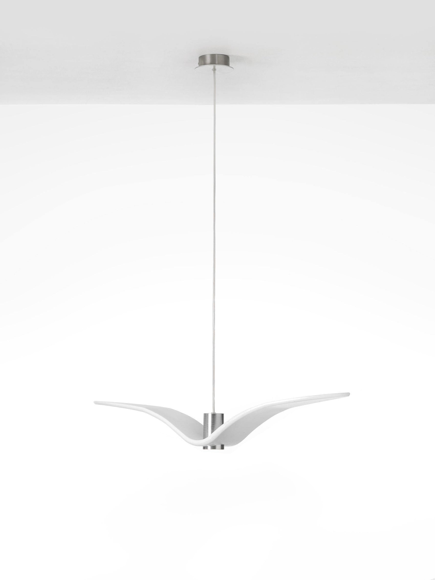 Aviara LED Pendant Light - Lamp Outdoor