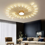 Wesley Modern Home Decoration Fireworks LED Ceiling Light - Lamp Outdoor