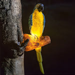 Resin Simulation Animal Parrot Shape 24V LED Waterproof Outdoor Lights - Lamp Outdoor