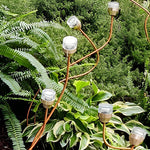 Outdoor Flower Bud Lawn Lights – Apple & Grape Designs, LED, Modern Illumination - Lamp Outdoor