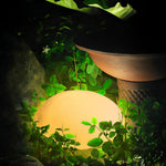 Resin Cobblestone LED Lawn Light Modern Waterproof Outdoor Landscape Lamp - Lamp Outdoor