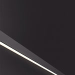 Liora Modern Slim Linear Black LED Wall Lamp - Lamp Outdoor
