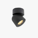 Kilo Spotlight Modern LED Flush Mount Ceiling Light, Black/White - Lamp Outdoor