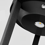 Adjustable Brightness LED Solar Path Lights Outdoor Black Modern Lawn Lamp - Lamp Outdoor