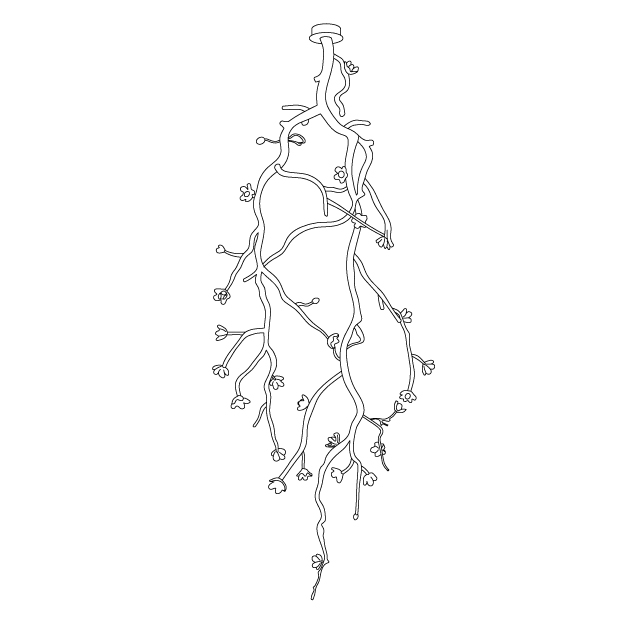 Large Long Branch Flower Chandelier - Lamp Outdoor