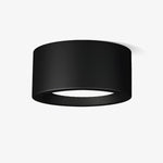 Ethan Surface Ceiling Light - Lamp Outdoor