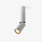 Julian Adjustable Surface Downlight - Lamp Outdoor