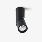 Maxwell Pivot Surface Downlight - Lamp Outdoor