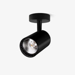 Calla Beam Spotlight - Lamp Outdoor