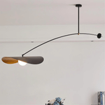 Arcflow Dynamic Metal Curve Pendant Light - Lamp Outdoor