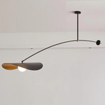 Arcflow Dynamic Metal Curve Pendant Light - Lamp Outdoor