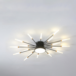 Wesley Modern Home Decoration Fireworks LED Ceiling Light - Lamp Outdoor