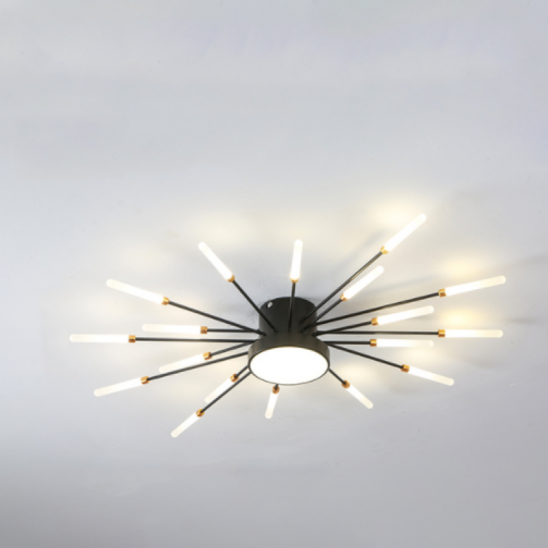Wesley Modern Home Decoration Fireworks LED Ceiling Light - Lamp Outdoor