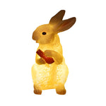 Resin and Fiberglass Rabbit Garden Lights Modern Waterproof Outdoor Lighting - Lamp Outdoor