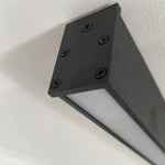 Solin Linear Black Ceiling Light/Wall Light - Lamp Outdoor