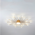 Wesley Modern Home Decoration Fireworks LED Ceiling Light - Lamp Outdoor