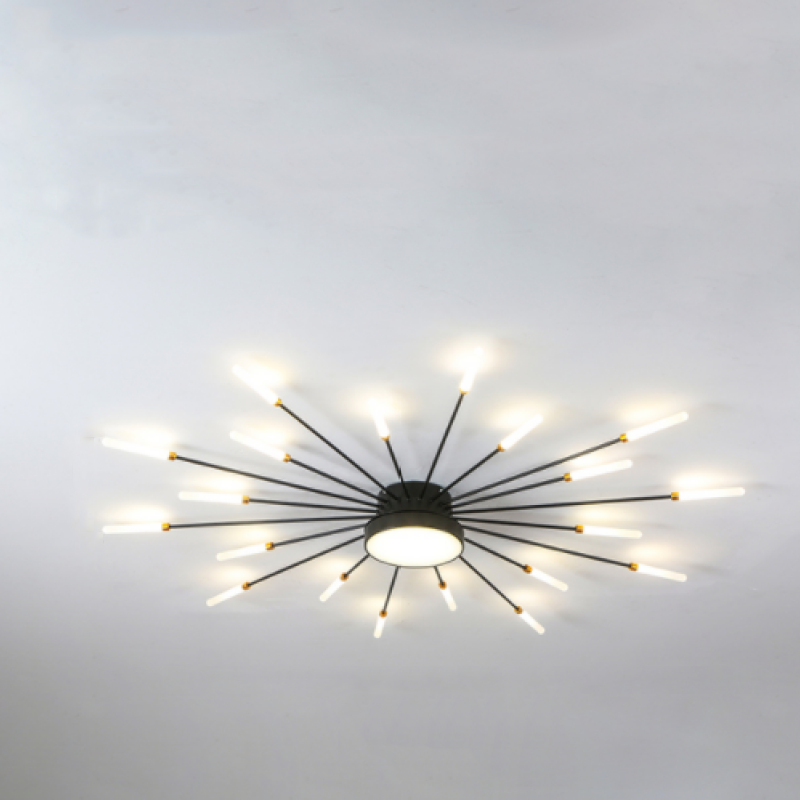 Wesley Modern Home Decoration Fireworks LED Ceiling Light - Lamp Outdoor