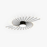 Wesley Modern Home Decoration Fireworks LED Ceiling Light - Lamp Outdoor