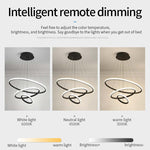 Zin Modern Ring Pendant Light, 2/3/4 Rings - Lamp Outdoor