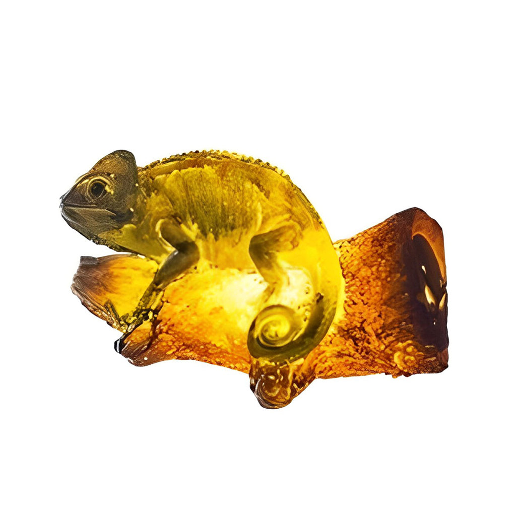 Resin Simulation Animal Parrot Shape 24V LED Waterproof Outdoor Lights - Lamp Outdoor