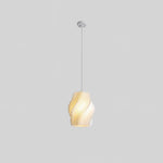 Printing Art Pendant Light - Lamp Outdoor