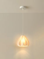 Printing Art Pendant Light - Lamp Outdoor
