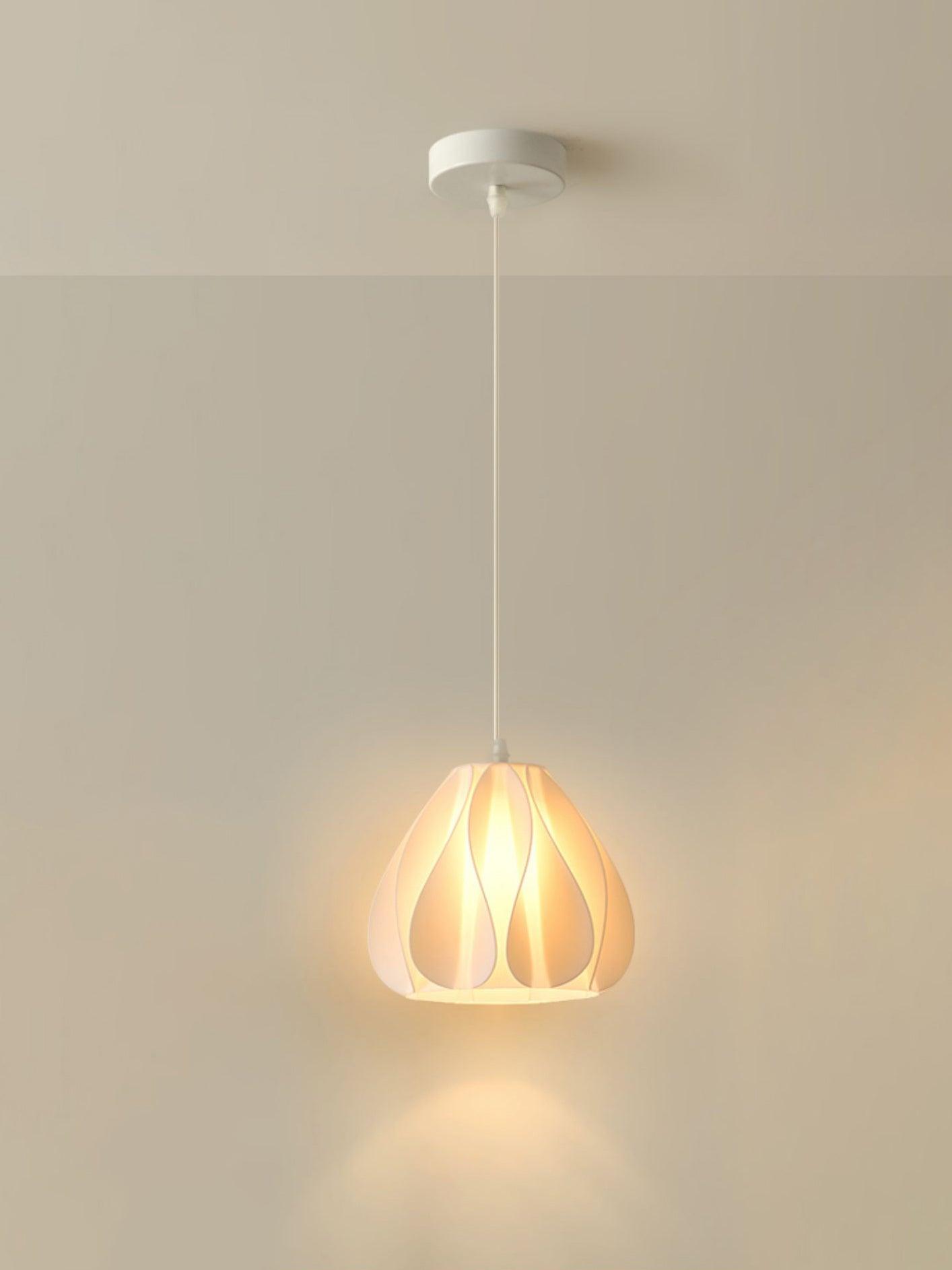 Printing Art Pendant Light - Lamp Outdoor