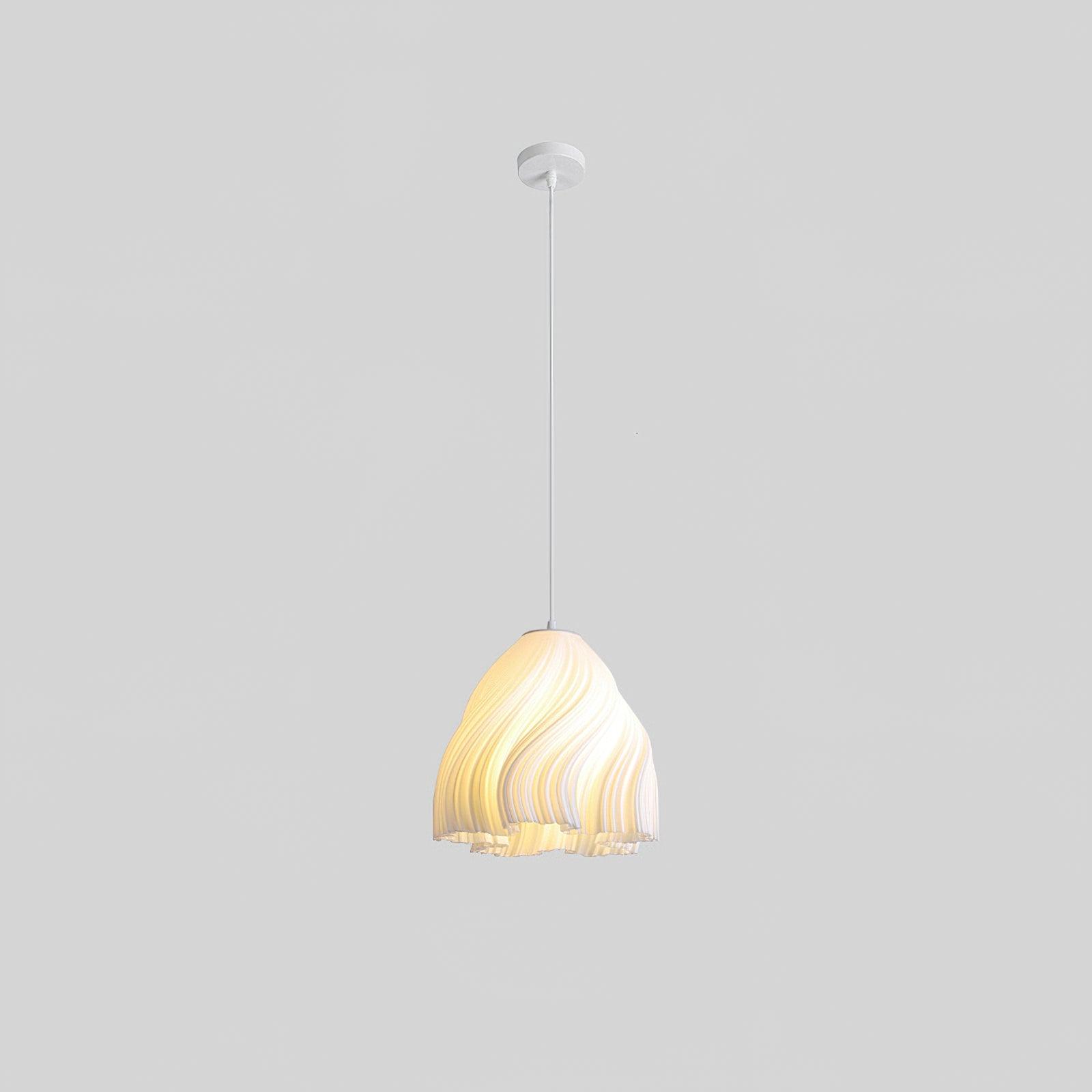 Printing Art Pendant Light - Lamp Outdoor
