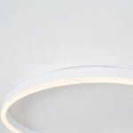 Olen Flush Mount Ceiling Light - Lamp Outdoor