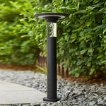 Solar Path Lights with Innovative Round Top Disk Down Lighting and Bubble Design - Lamp Outdoor