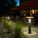 Solar Path Lights with Innovative Round Top Disk Down Lighting and Bubble Design - Lamp Outdoor