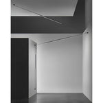 Belto Linear Pendant Light - Lamp Outdoor