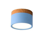 Jojo Cylindrical Flush Mount Ceiling Light - Lamp Outdoor
