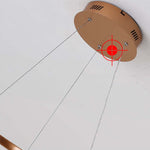 Clyra Modern Irregular Flower Pendant Light, 3 Colors - Lamp Outdoor