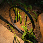 Elegant Circular COB Pathway Light Modern Black Ring Design - Lamp Outdoor