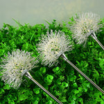 Elegant Aluminum LED Solar Dandelion Lights Dual Pack for Garden and Lawn - Lamp Outdoor