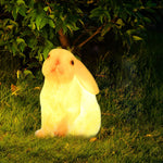 Resin and Fiberglass Rabbit Garden Lights Modern Waterproof Outdoor Lighting - Lamp Outdoor