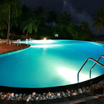 AC12V Modern LED Underwater Pool Lights Chrome Adjustable Spot Light - Lamp Outdoor