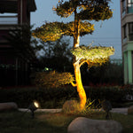 Ray Modern Round Glass/Metal Solar Outdoor Ground Lamp Spotlight - Lamp Outdoor