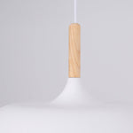 Acorn Pendant Light - Lamp Outdoor