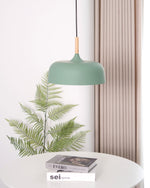 Acorn Pendant Light - Lamp Outdoor