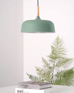 Acorn Pendant Light - Lamp Outdoor