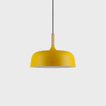 Acorn Pendant Light - Lamp Outdoor