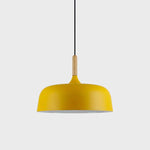 Acorn Pendant Light - Lamp Outdoor