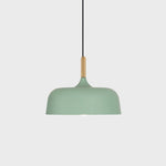 Acorn Pendant Light - Lamp Outdoor