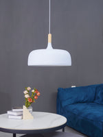 Acorn Pendant Light - Lamp Outdoor